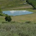 בית כפרי La Casa Fra Gli Olivi