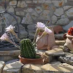 La Casa Fra Gli Olivi * מרשאנו