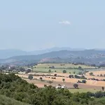 La Casa Fra Gli Olivi