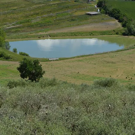Εξοχικό σπίτι La Casa Fra Gli Olivi