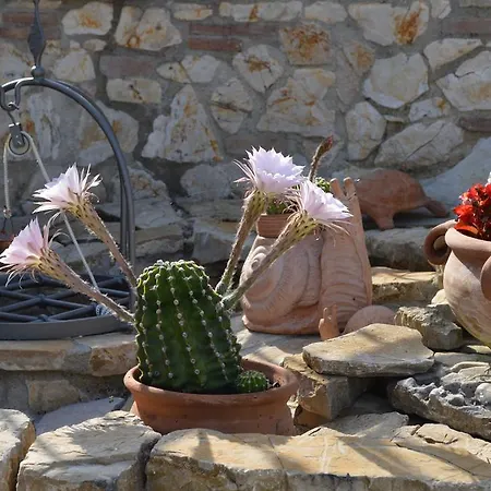 La Casa Fra Gli Olivi * Marsciano