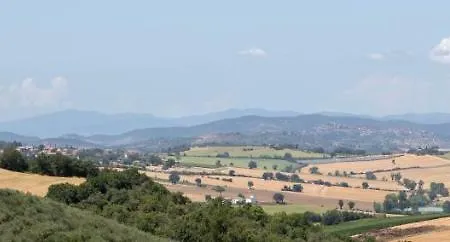 La Casa Fra Gli Olivi